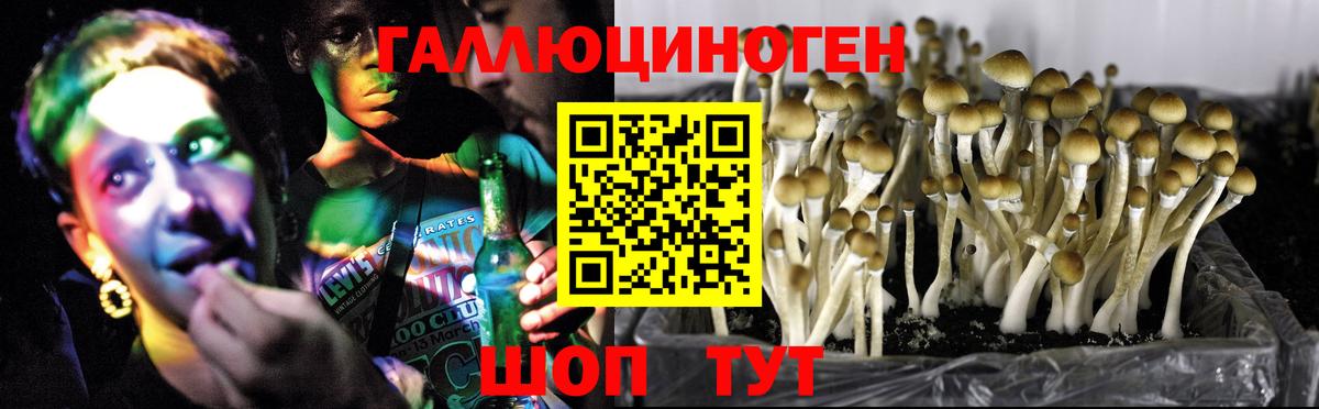 Мариинск  где можно купить   Вход с VPN  Галлюциногенные грибы ЛСД 